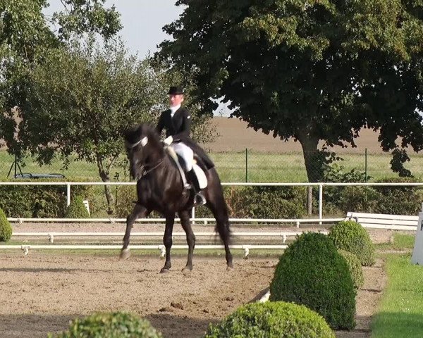 Reitturnier Münchehofe 2020