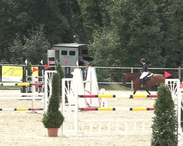 Reitturnier Winkel 2020