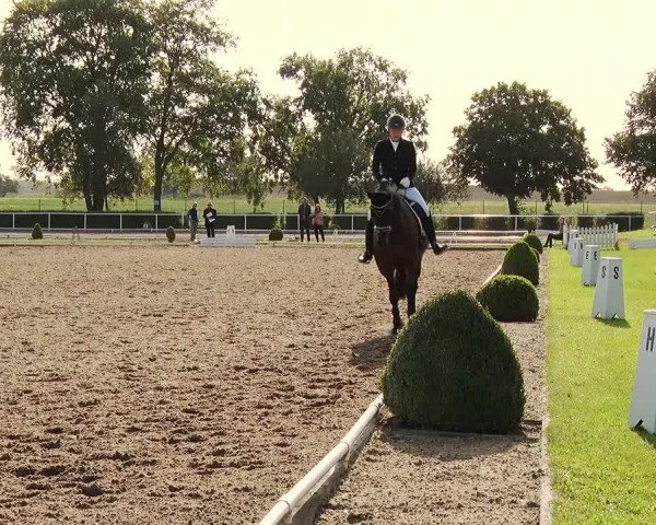 Reitturnier Münchehofe 2020