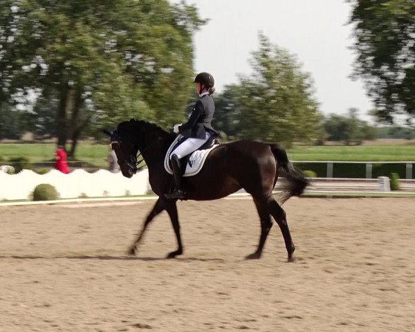 Reitturnier Münchehofe 2020