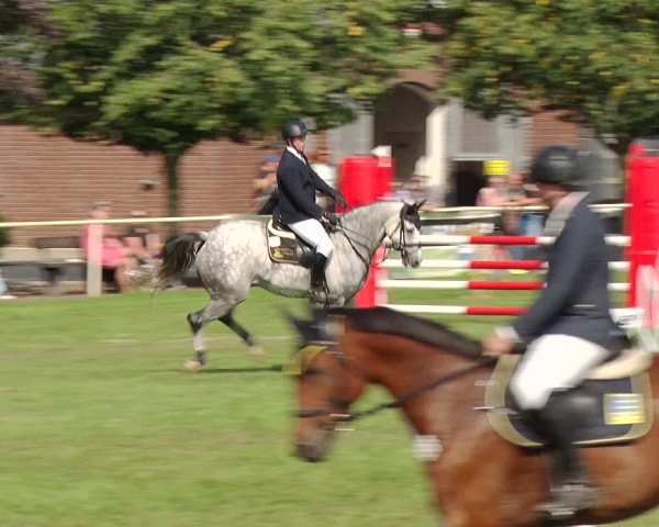 Reitturnier Münchehofe 2020