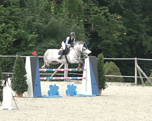 Reitturnier Winkel 2020