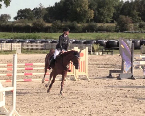 Reitturnier Schülp / Rendsburg 2020