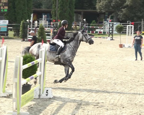 Reitturnier Winkel 2020