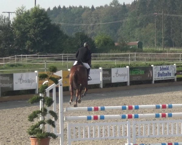 Reitturnier Sauldorf-Boll 2020