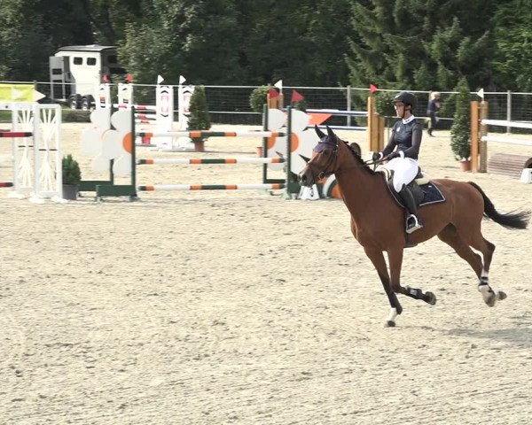 Reitturnier Winkel 2020