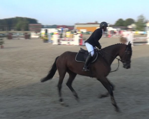 Reitturnier Sauldorf-Boll 2020