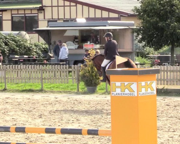 Reitturnier Schülp / Rendsburg 2020
