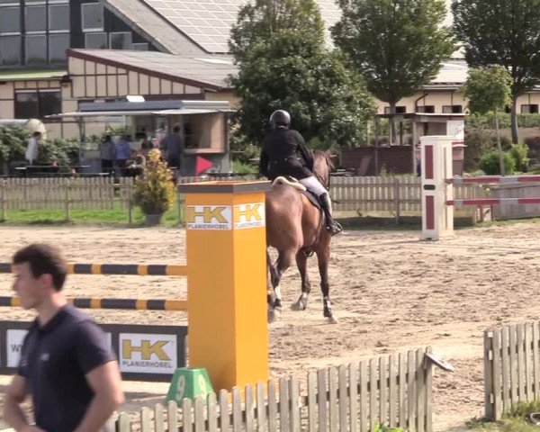 Reitturnier Schülp / Rendsburg 2020