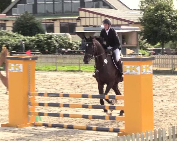 Reitturnier Schülp / Rendsburg 2020