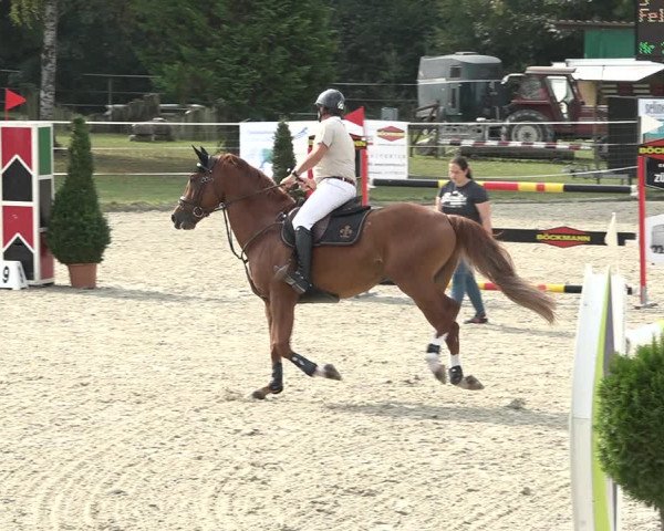 Reitturnier Winkel 2020