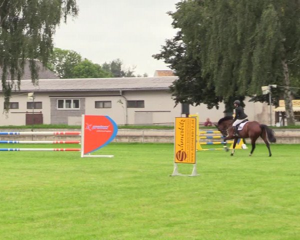 Reitturnier Altmittweida 2021