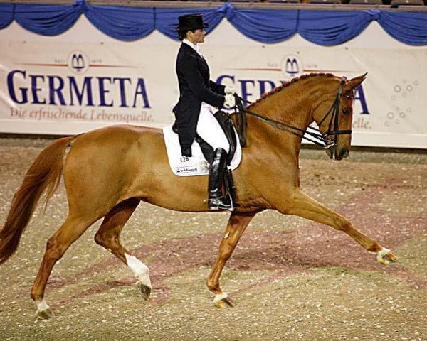 dressage horse Gina (Oldenburg, 1991, from Grosso Z)