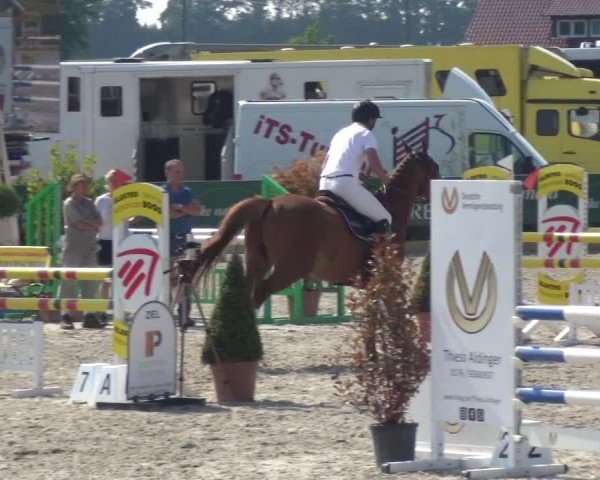 Reitturnier Sauldorf-Boll 2020