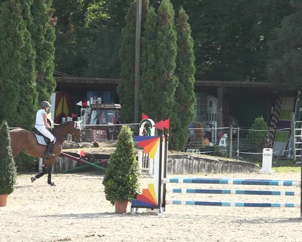 Reitturnier Winkel 2020