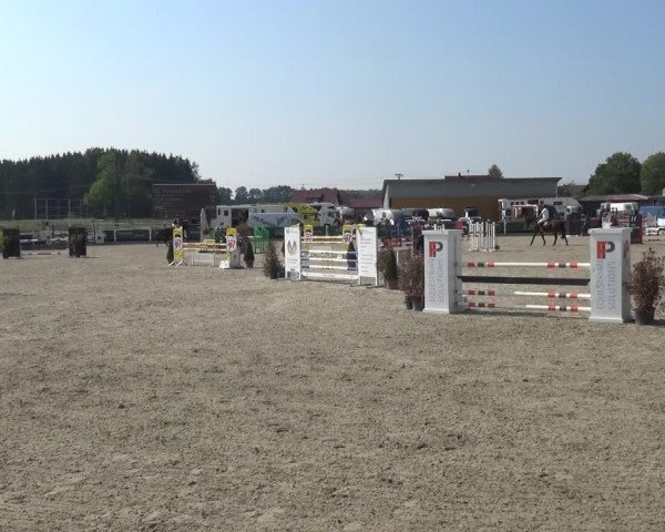 Reitturnier Sauldorf-Boll 2020