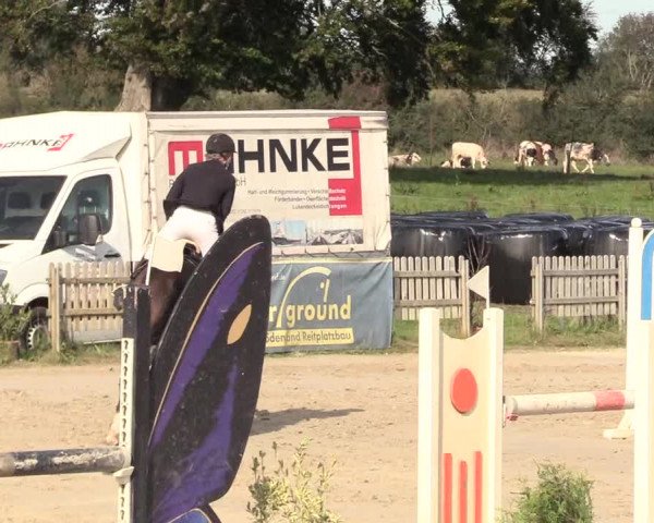 Reitturnier Schülp / Rendsburg 2020