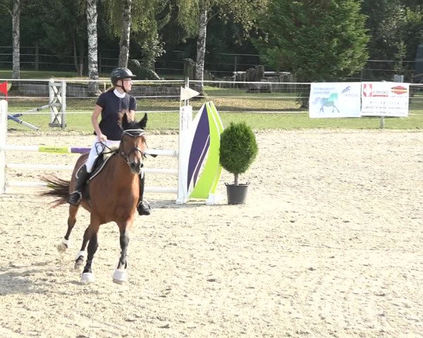 Reitturnier Winkel 2020