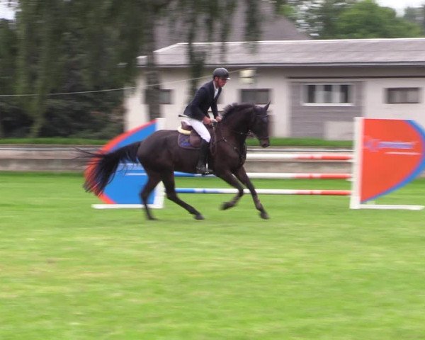Reitturnier Altmittweida 2021