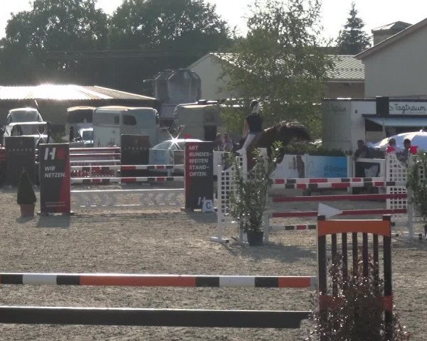 Reitturnier Sauldorf-Boll 2020