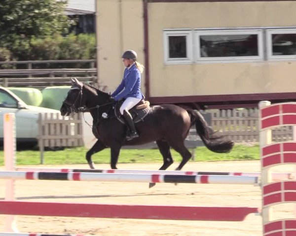Reitturnier Schülp / Rendsburg 2020