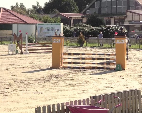 Reitturnier Schülp / Rendsburg 2020