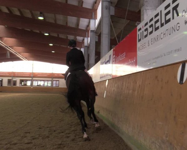 Reitturnier Appelhülsen 2020