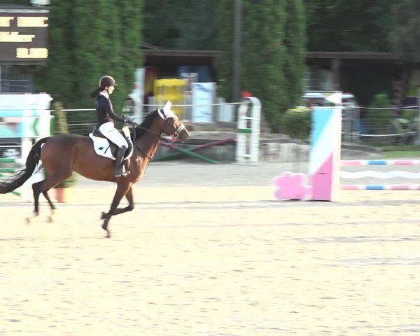 Reitturnier Winkel 2020