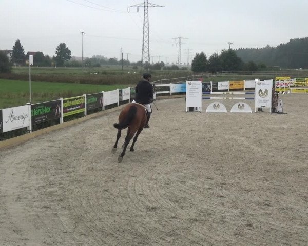 Reitturnier Sauldorf-Boll 2020