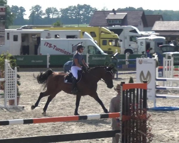 Reitturnier Sauldorf-Boll 2020