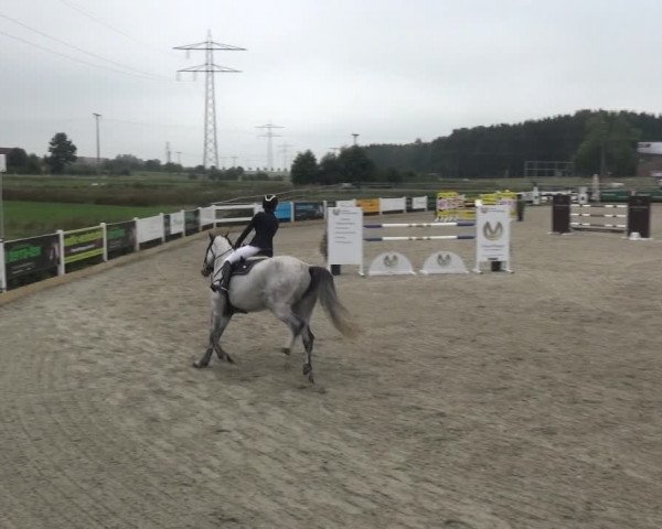 Reitturnier Sauldorf-Boll 2020