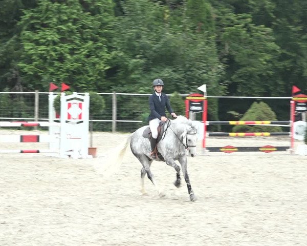 Reitturnier Winkel 2020