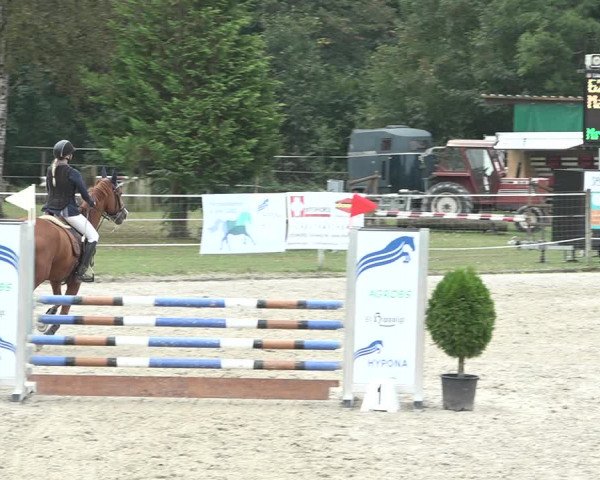 Reitturnier Winkel 2020