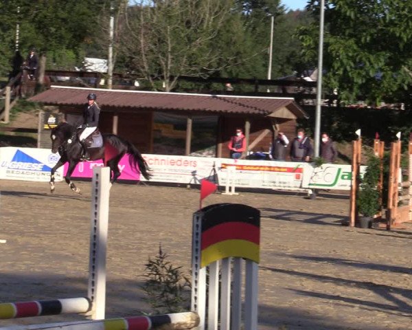 Reitturnier Buchenhof-Ibbenbüren 2020