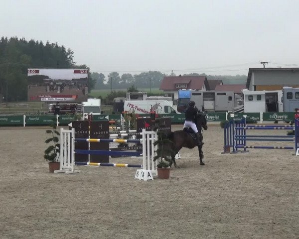 Reitturnier Sauldorf-Boll 2020