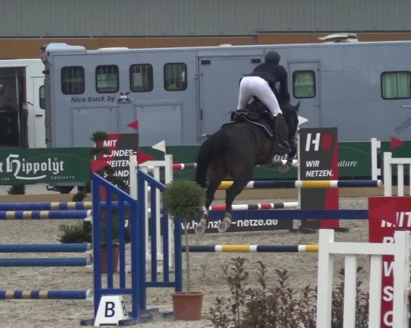 Reitturnier Sauldorf-Boll 2020