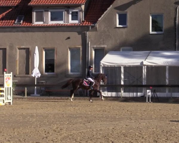 Reitturnier Buchenhof-Ibbenbüren 2020