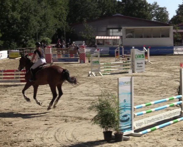 Reitturnier Albersloh 2020