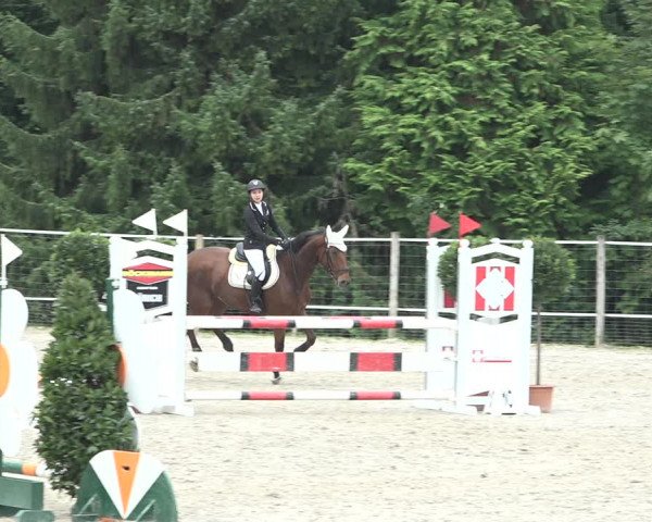 Reitturnier Winkel 2020