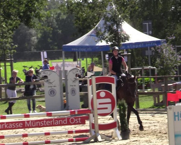 Reitturnier Albersloh 2020