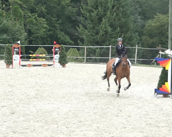 Reitturnier Winkel 2020