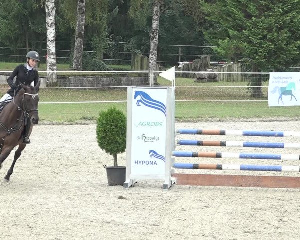 Reitturnier Winkel 2020