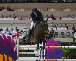 stallion Quite Zero (Holsteiner, 2004, from Quite Capitol)