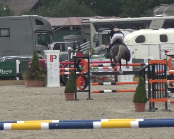 Reitturnier Sauldorf-Boll 2020