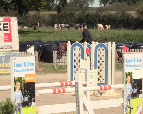 Reitturnier Schülp / Rendsburg 2020