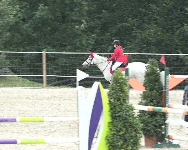 Reitturnier Winkel 2020