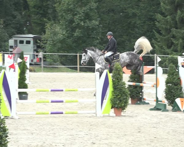 Reitturnier Winkel 2020
