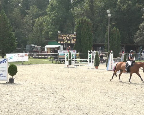 Reitturnier Winkel 2020