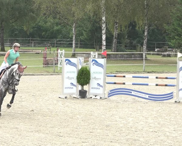 Reitturnier Winkel 2020