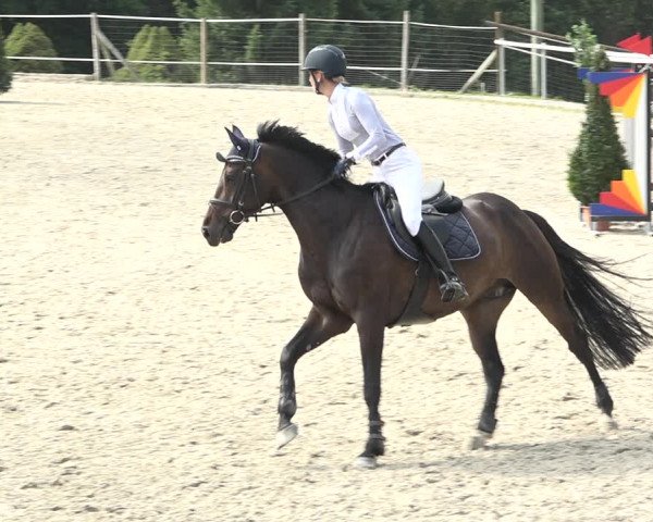 Reitturnier Winkel 2020